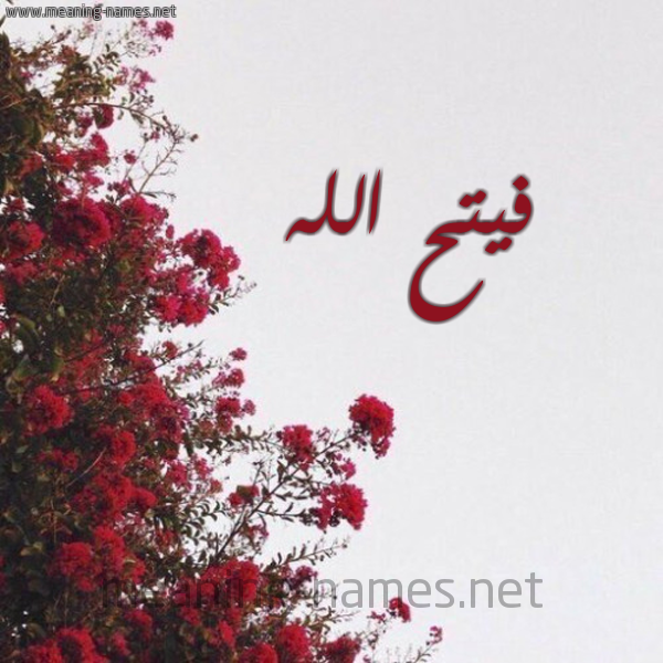 شكل 18 صوره الورد الأحمر للإسم بخط رقعة صورة اسم فيتح الله Fath-Allah